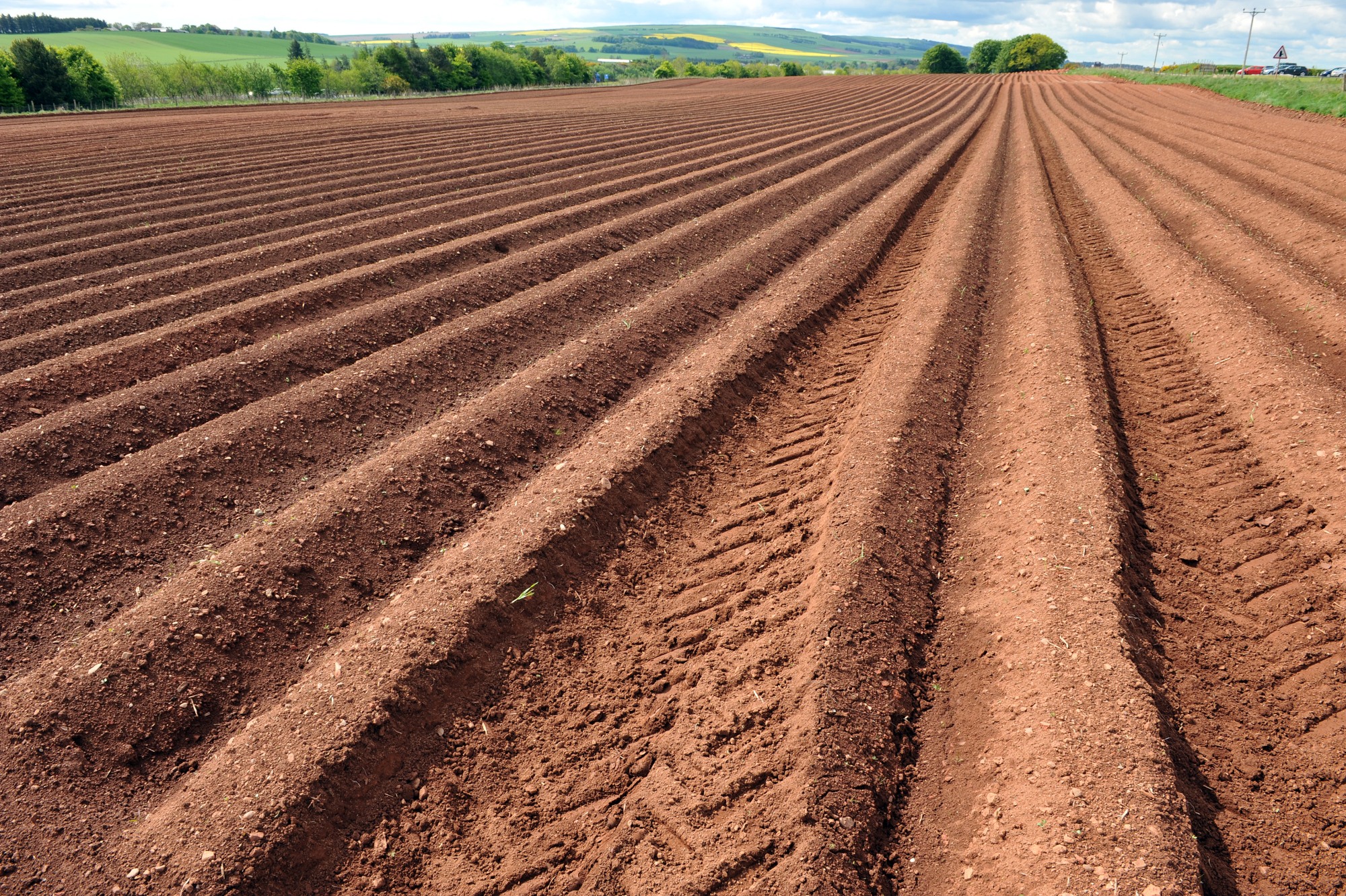 Soil furrows in an agricultural field